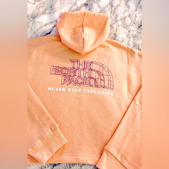 NWT The North Face Coordinates Hoodie with Back Graphic in Apricot XL - Picture 5 of 10